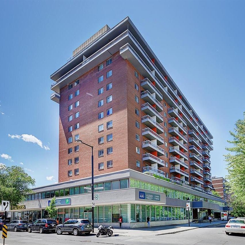 1 Bedroom - 1570 St-Timothée, Montréal - Photo 1