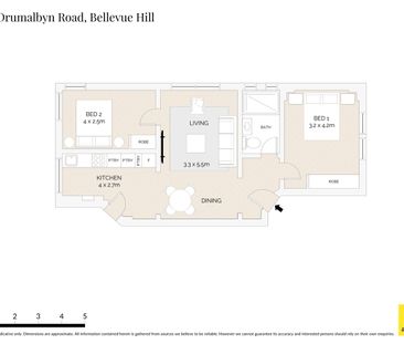 Light filled apartment in blue-chip Bellevue Hill - Photo 6