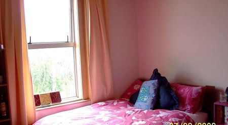 5 minute walk to lectures at Otago Uni 2026. - Photo 4