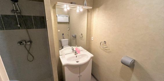 Location Appartement 1 pièce 15m² CHOLET 49300 - Photo 3