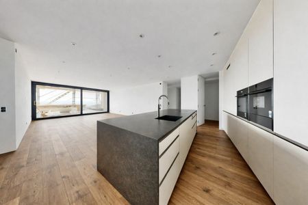 5.5 Zimmer, 220 m² - Photo 3
