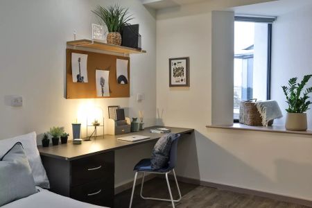 Gold Studio - Photo 3