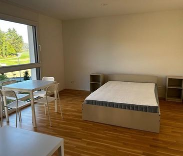 Exklusive 1½-Zimmer-Wohnung – modern & lichtdurchflutet - Foto 3