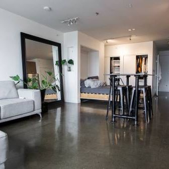 Renovated Bright & Spacious Studio - Pet-Friendly, Unfurnished - Photo 1