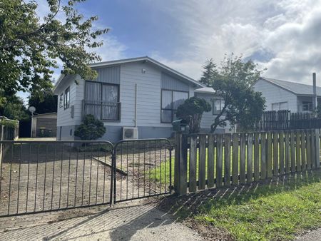 Fully Fenced Family Home - Photo 3
