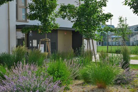 Moderne 2 Zi Wohnung mit Balkon - JETZT 1 Monat mietzinsfreie Zeit! (nahe U1) - Foto 3