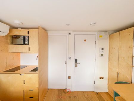 Philbeach Gardens, Earls Court, London, SW5 - Photo 3