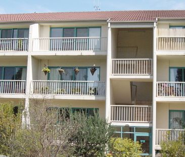 53/55 McMillan Crescent, Griffith ACT 2603 - Apartment For Rent | D... - Photo 3