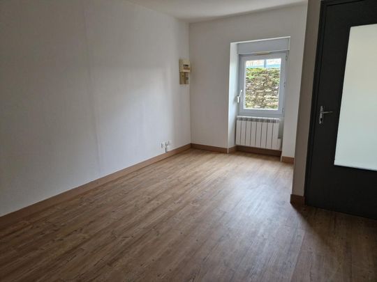 Location Appartement 1 pièce 19m² ANGERS 49100 - Photo 1