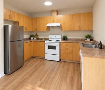 343 DALHOUSIE Street, Brantford, Ontario, N3S3V9 - Photo 4