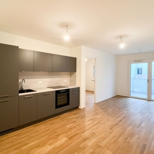 INA - Pärchenwohnung mit Freifläche nähe Wasserspielplatz Leberberg - Photo 1