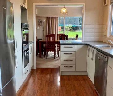 Single level home with 4 bedrooms and 2 Bathrooms - Photo 4