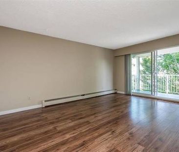 Spacious 2 Bedroom Top Floor Corner Condo with own Parking - Photo 2