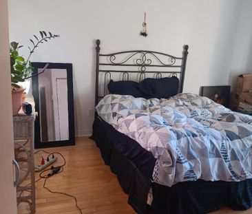 Chambre 1 1/2 acceptant 1 chat - Photo 1