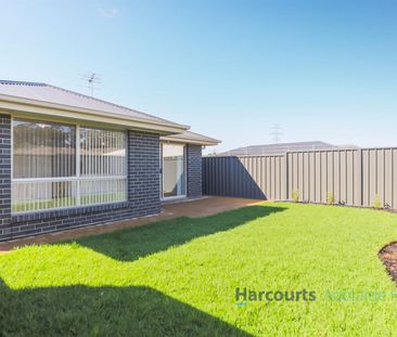 20 Polo Drive, Mount Barker SA 5251 - House For Rent - $600 | Domain - Photo 3