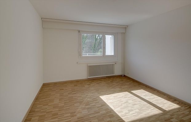 "Familiennest" - Photo 1