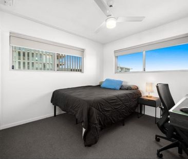 16, Beesley Street, QLD, West End - Photo 5