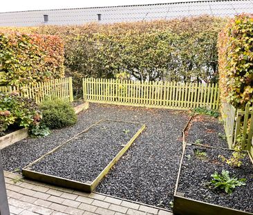 Hyggeligt 1-værelses rækkehus med egen have - Photo 2