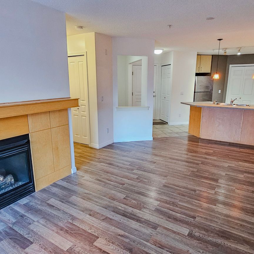 1 Br + Den Beautiful Condo For Rent In Lincoln Park: Heat & Water Included. - Photo 1