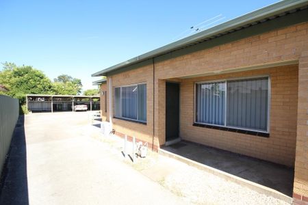 Fly Solo in this Fantastic Flat - Photo 5