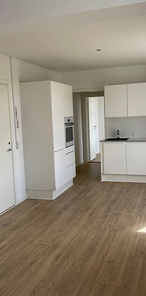 2-værelses Lejlighed på 58 m² i Vejle - Photo 1