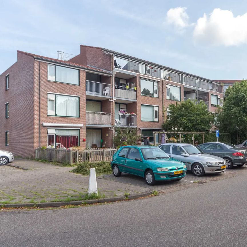Studio Leopoldhove 293, Zoetermeer - À louer - Foto 2