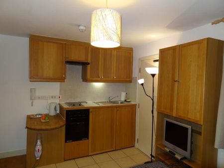 Flat 1 Mabledon Place, Bloomsbury WC1H 9AZ - Photo 4