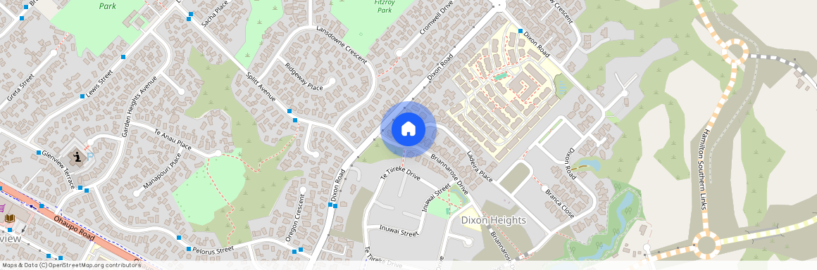 3 Ladeira Place, Fitzroy, Hamilton City