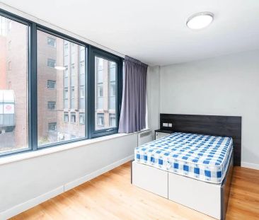 Premium Studio - Single - Photo 6