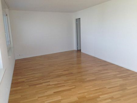 3.5 Zimmer Wohnung - Photo 3