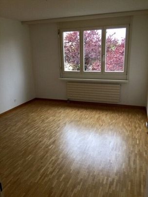 Hier endet Ihre Wohnungssuche - Foto 1