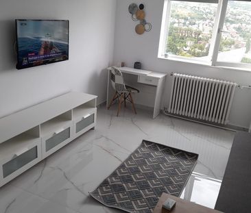 Gruia – Apartament 1 cameră renovat, mobilat, 21 mp - Fotografie 1