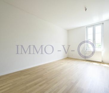 DUPLEX DE STANDING ENTIEREMENT RENOVE - Foto 5