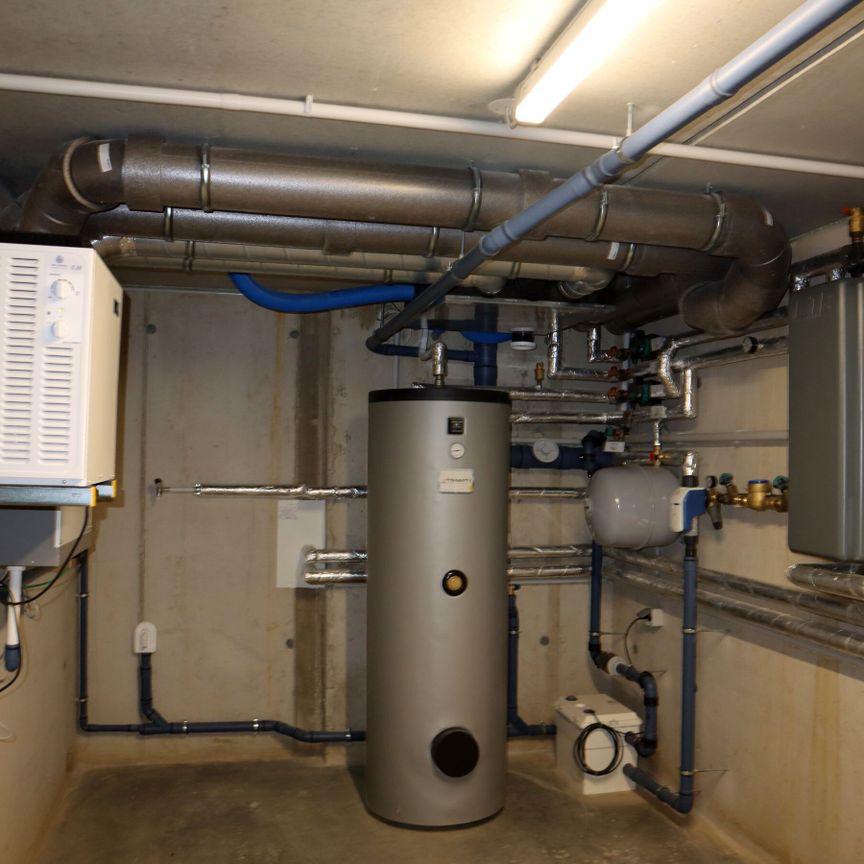 Mein Heim -Doppelhaus mit Eigengarten zum Mieten in St. Leonhard / Forst - Provisionsfrei - Photo 1