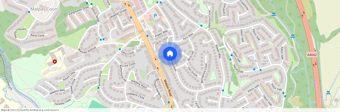 Larch Grove, Malpas Park, Newport