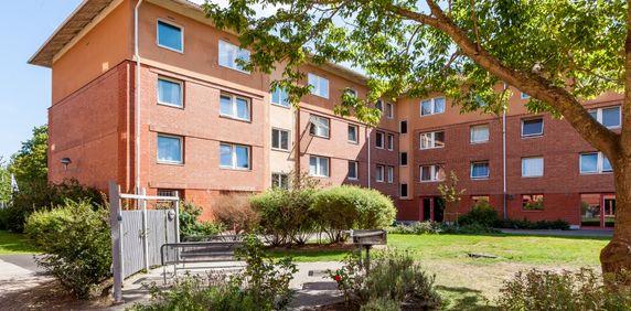 Andersbergsringen, Halmstad - Photo 2