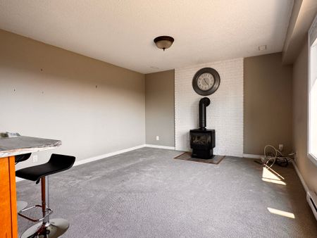 4786 Kilmarnock Drive - Lower - Photo 2