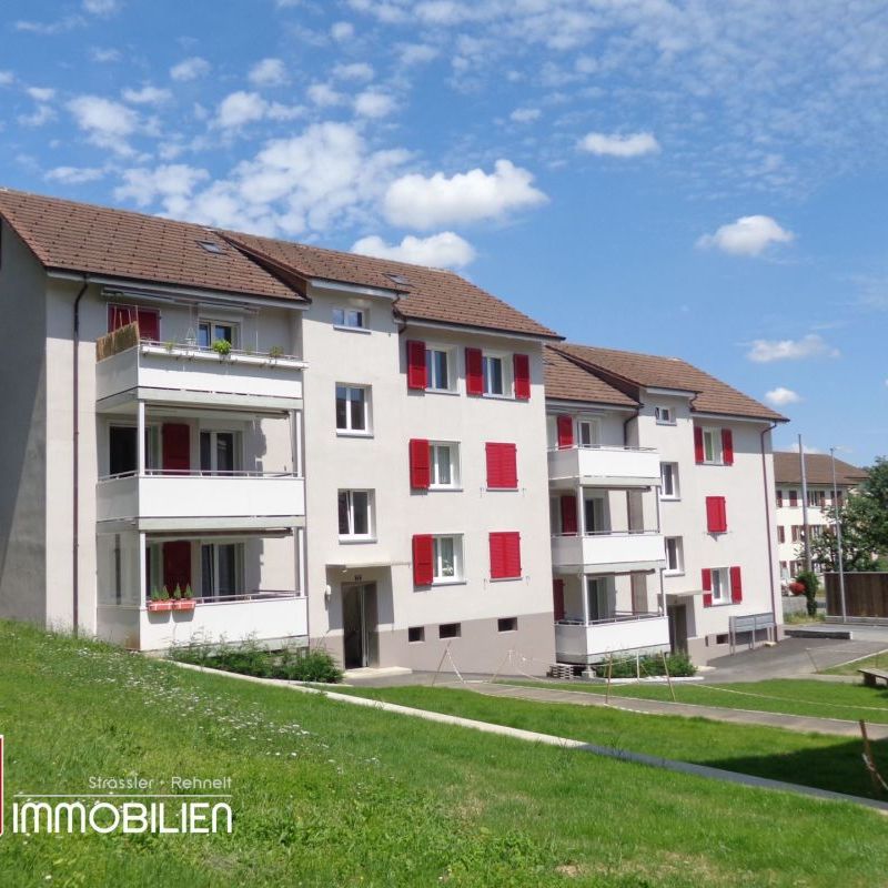 Schöne Genossenschaftswohnung in Bözingen mit Balkon / Appartement d'une coopérative à Boujean avec balcon - Photo 1