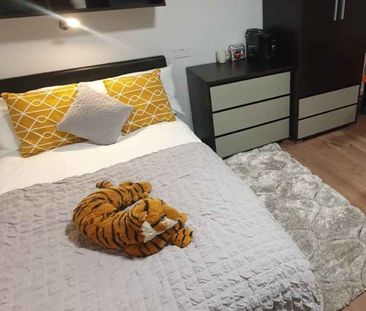 Classic Studio - Photo 5