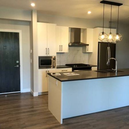 Croydon & 31st Ave 2 beds 2 full baths Available end of March - Photo 3