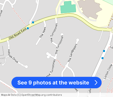 The Turnstones, Gravesend - Photo 1