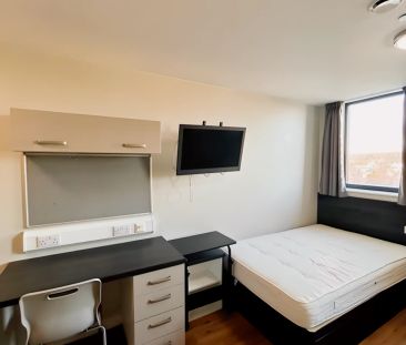 Classic Studio - Photo 6