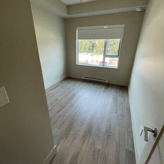 Bright 2BR/2BA/In suite laundry/Vinyl flooring/SS appliances/No pets - Photo 1