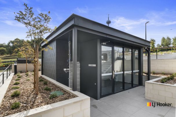 2 Bedroom apartment with arboretum views - Photo 1