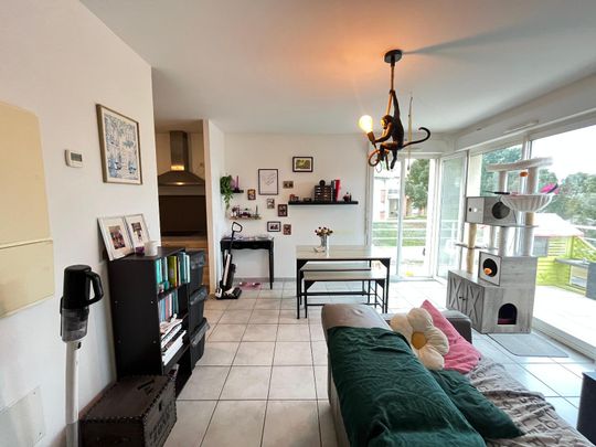 Location Appartement 3 pièces 53m² CAGNAC LES MINES 81130 - Photo 1