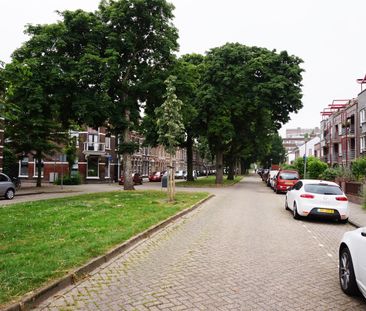 Warande - Photo 1