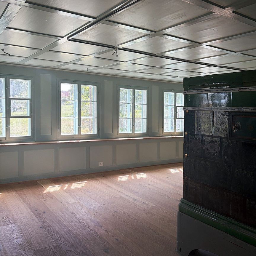 Bauernhaus in Illnau-Effretikon - Foto 1