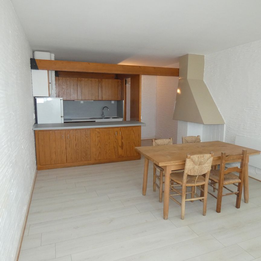 Location Appartement 2 pièces 33m² ST CYPRIEN 66750 - Photo 1