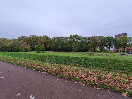 Meerring 200, Meerrijk, 5658LD, Eindhoven - Foto 3