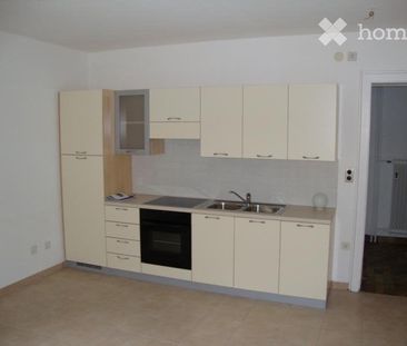 2 Zimmer, 50 m² - Foto 5